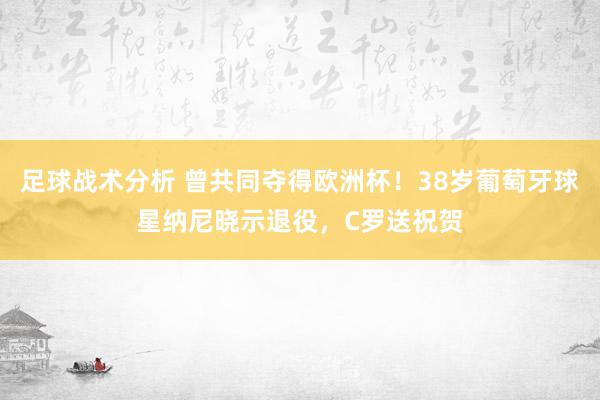 足球战术分析 曾共同夺得欧洲杯！38岁葡萄牙球星纳尼晓示退役，C罗送祝贺