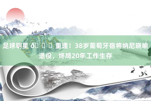 足球明星 👋重逢！38岁葡萄牙宿将纳尼晓喻退役，终局20年工作生存