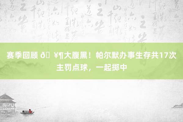 赛季回顾 🥶大腹黑！帕尔默办事生存共17次主罚点球，一起掷中